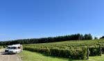 Au Vignoble Saint-Gabriel, les visiteurs « Terego » profitent de cinq stationnements situés au milieu des vignes ou en bordure de forêt.