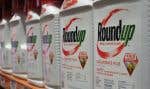 Le glyphosate est la principale substance active du Roundup, un controversé herbicide mis en marché en 1975 par Monsanto.