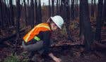Sur le site du feu 308, Maryse Le Lan, une ingénieure forestière du ministère des Ressources naturelles et des Forêts du Québec, racle le sol avec ses doigts. Des monticules de cendre blanche se disloquent.