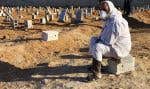 Des tombes destinées aux victimes des inondations ont été installées à Derna.