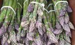 Sur sa terre, en Montérégie, Mathieu Jodoin produit entre autres des asperges et autrefois, ses légumes aux formes imparfaites finissaient trop souvent à la poubelle.