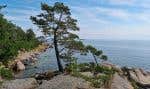 L'île finlandaise d'Ulko-Tammio, la première île au monde où l’usage d’un téléphone intelligent est volontairement banni